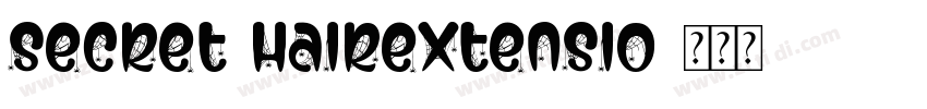 SECRET HAIREXTENSIO字体转换